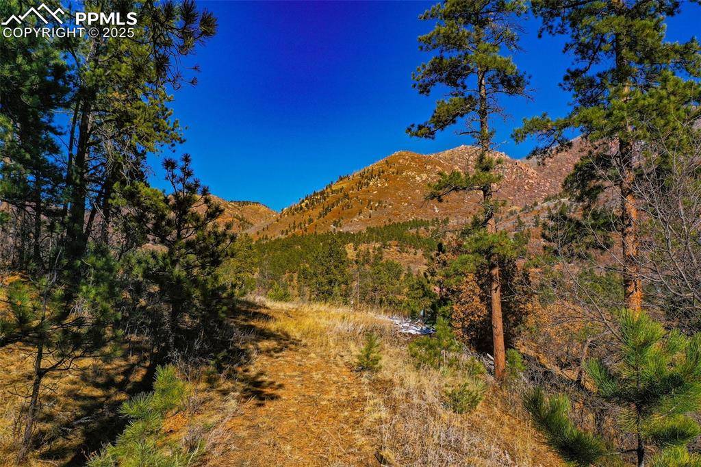 Cascade, CO 80809,5330 Chipita Pines DR