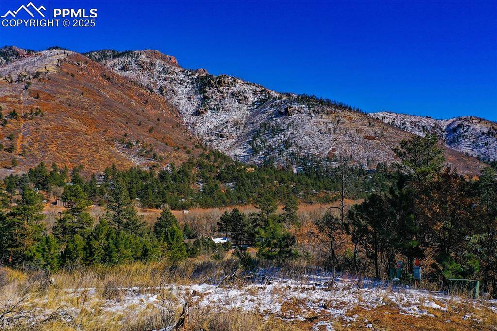 Cascade, CO 80809,5330 Chipita Pines DR