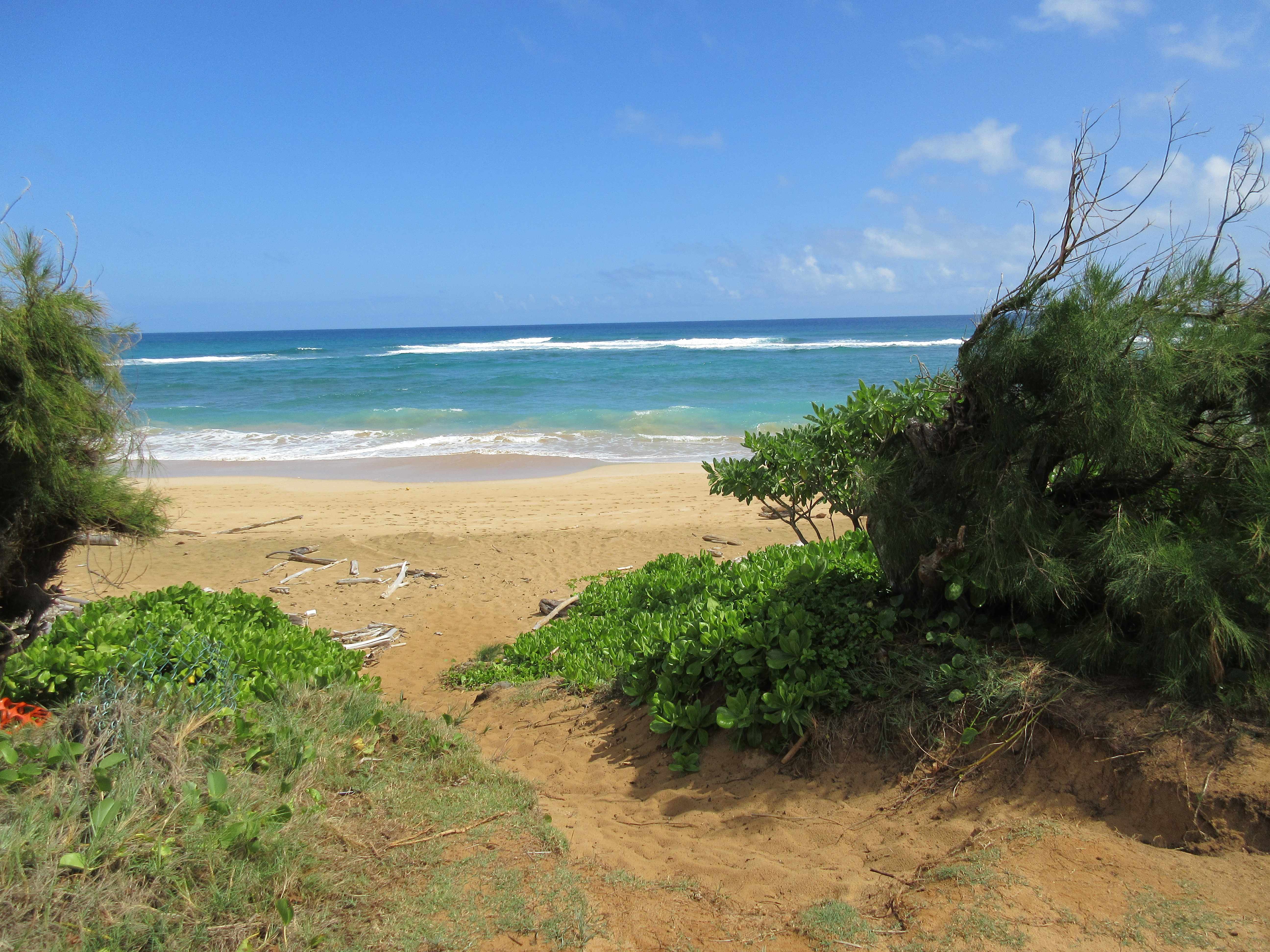 Lihue, HI 96766,4460 NEHE RD #118