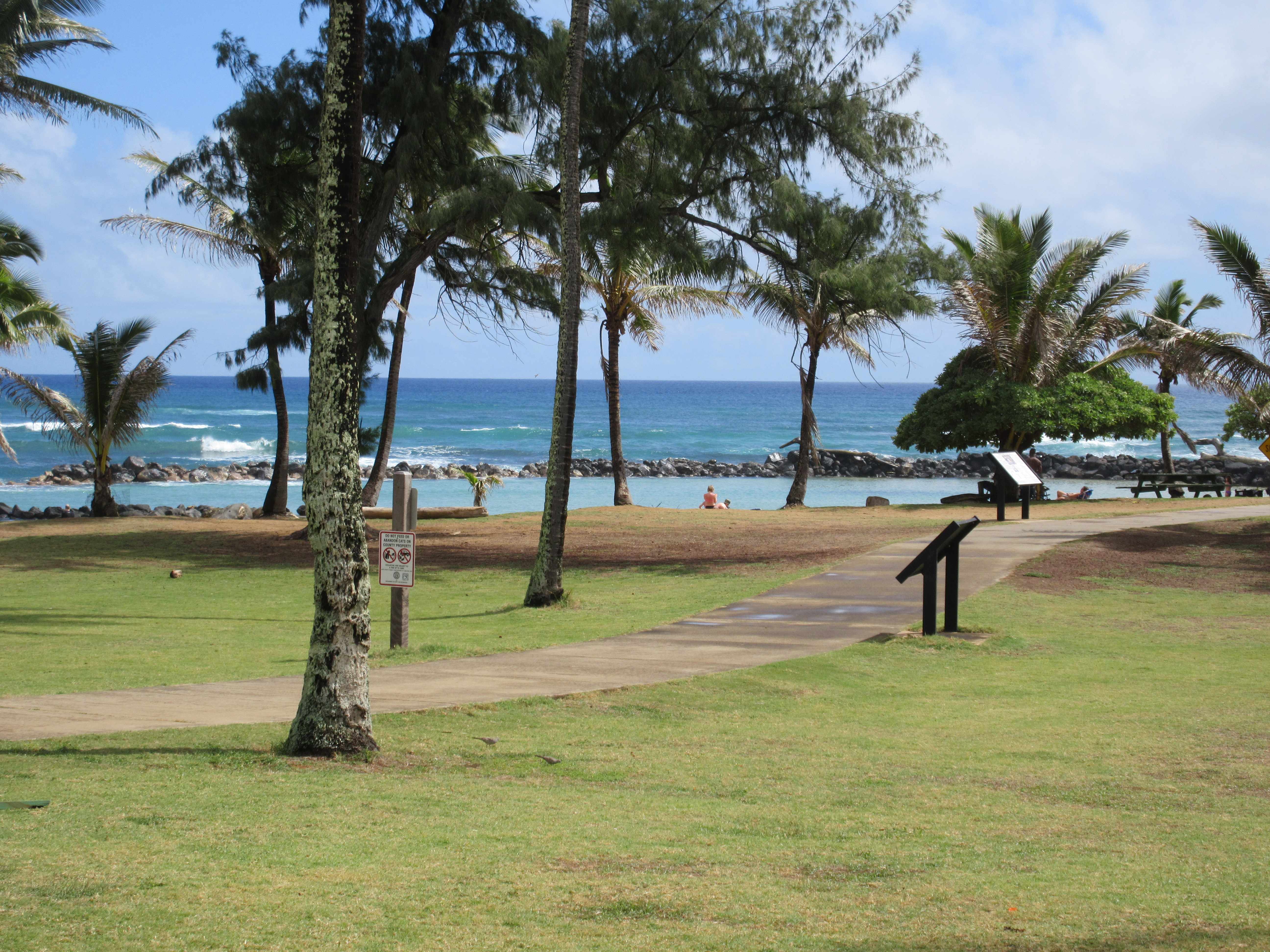 Lihue, HI 96766,4460 NEHE RD #118