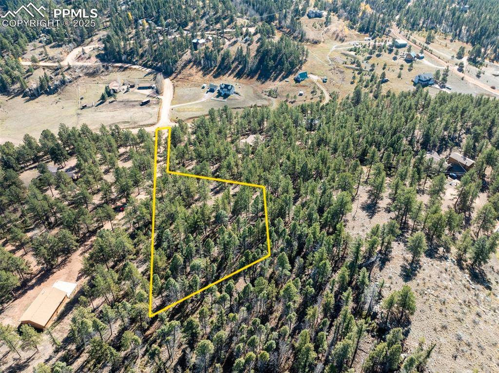 Florissant, CO 80816,205 Stonehenge DR