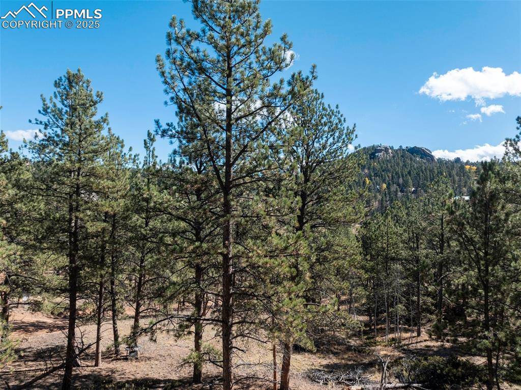 Florissant, CO 80816,205 Stonehenge DR