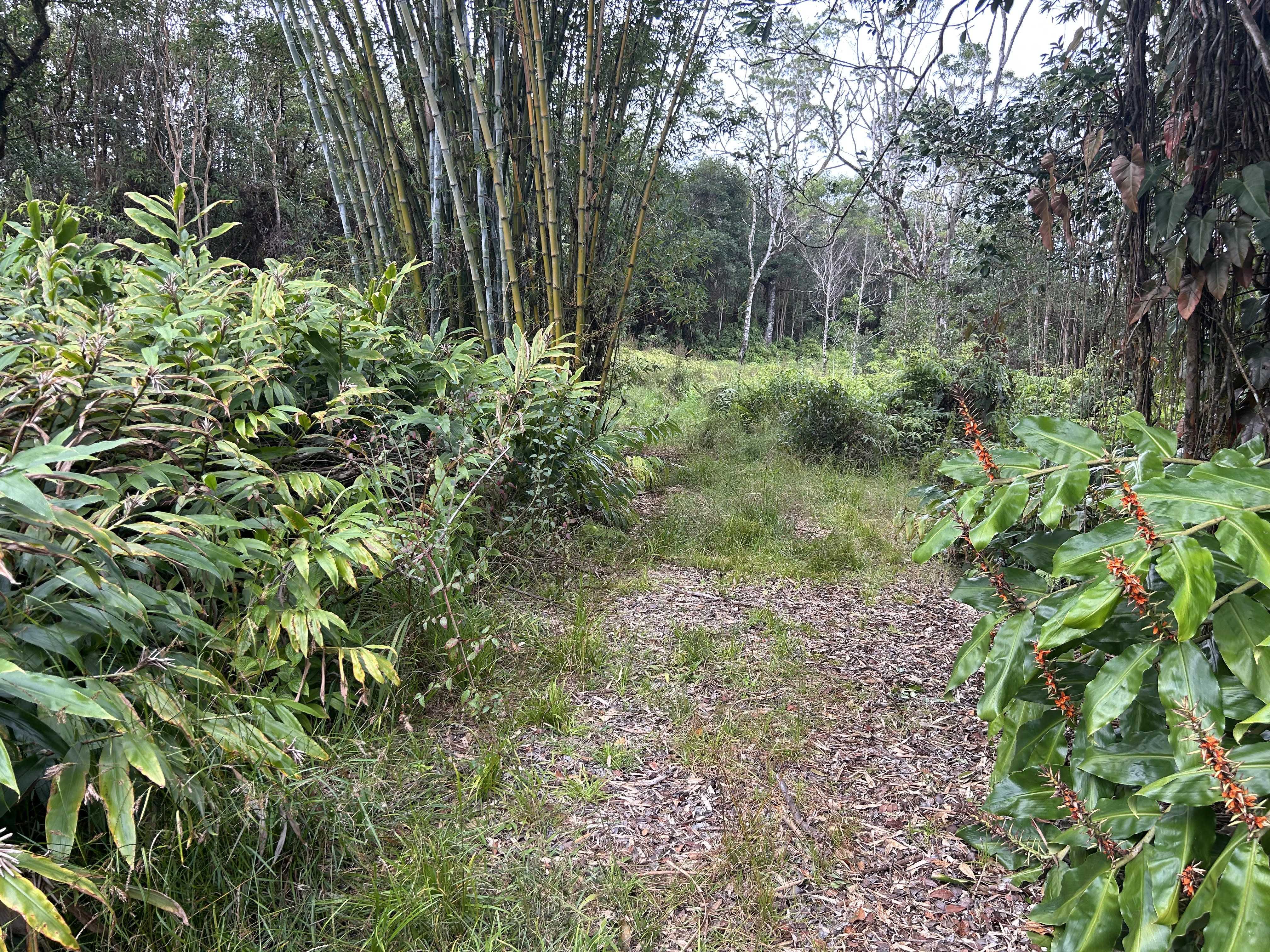 Hilo, HI 96720,3610 KAIWIKI RD