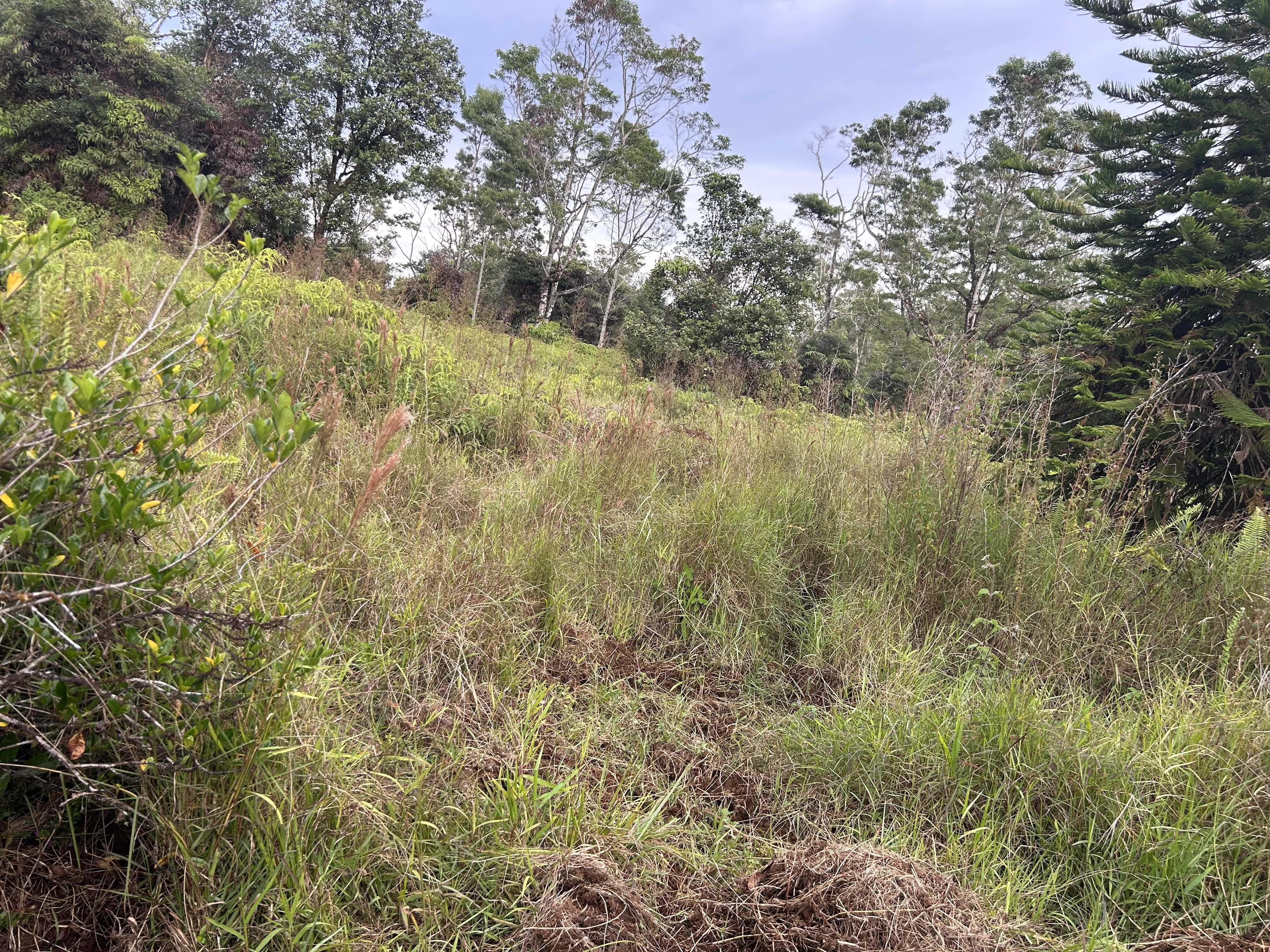 Hilo, HI 96720,3610 KAIWIKI RD