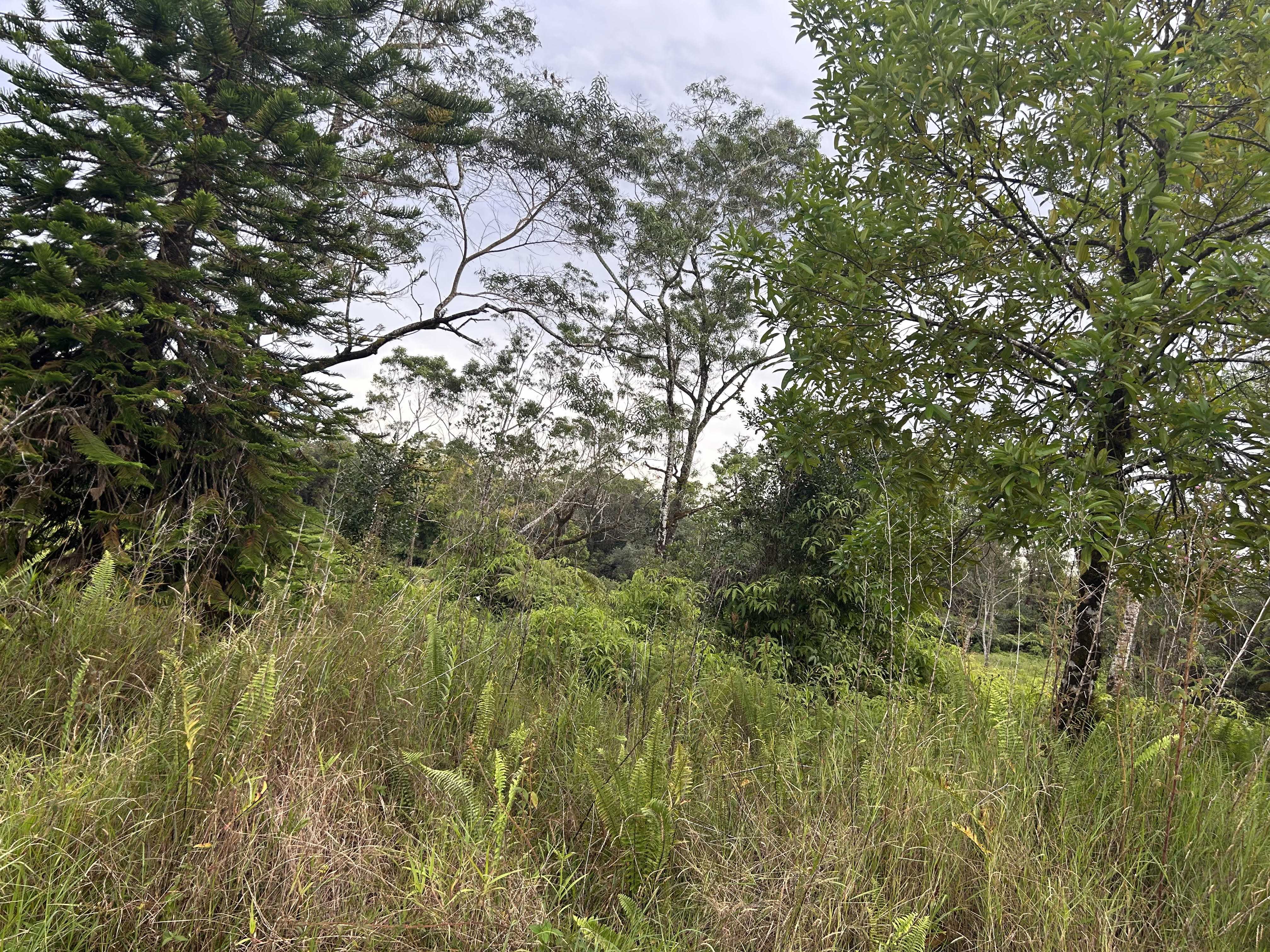 Hilo, HI 96720,3610 KAIWIKI RD