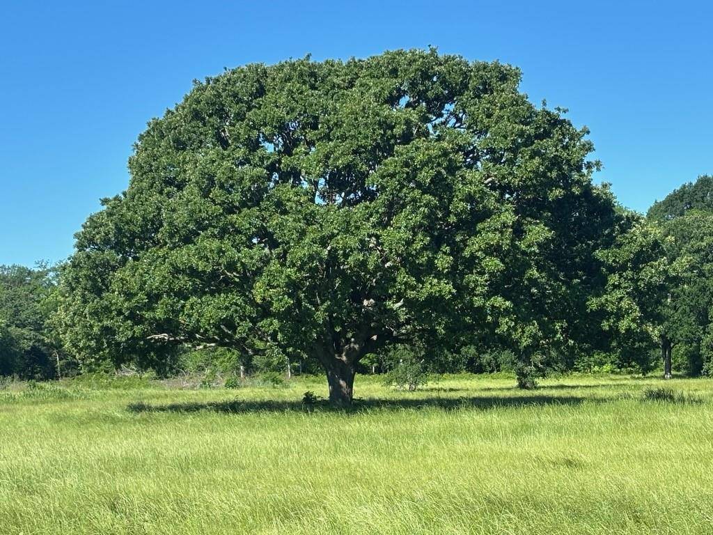 Commerce, TX 75428,TBD County Road 4410