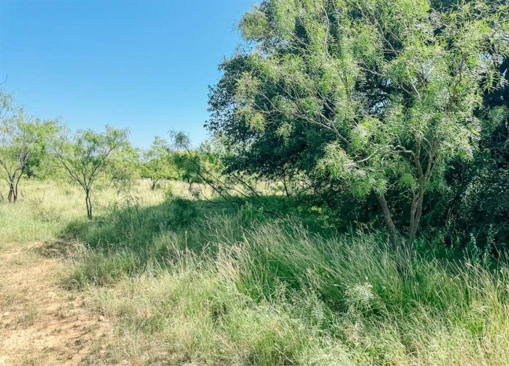 Brownwood, TX 76801,Lot 4 Morris Sheppard Drive