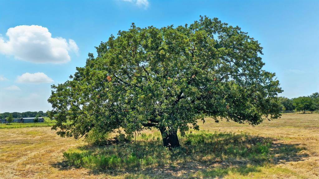 Brock, TX 76087,243 Dixie Road