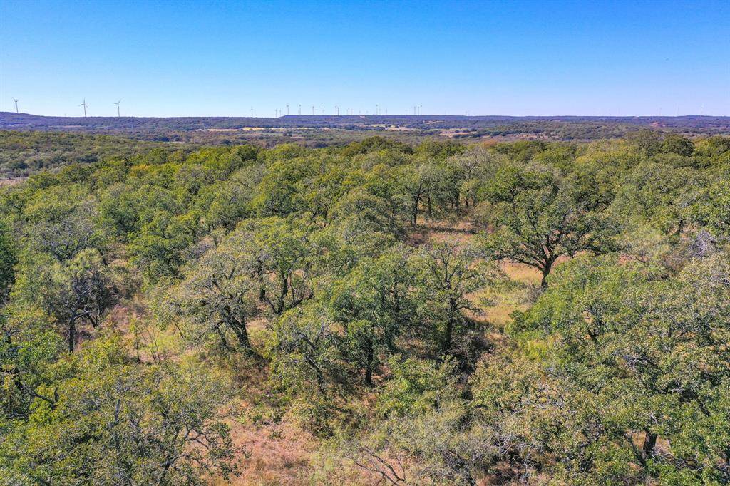 Jacksboro, TX 76458,34.38 Acres Lester Road