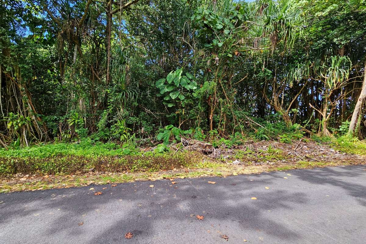 Pahoa, HI 96778,PUNI KAHAKAI ST