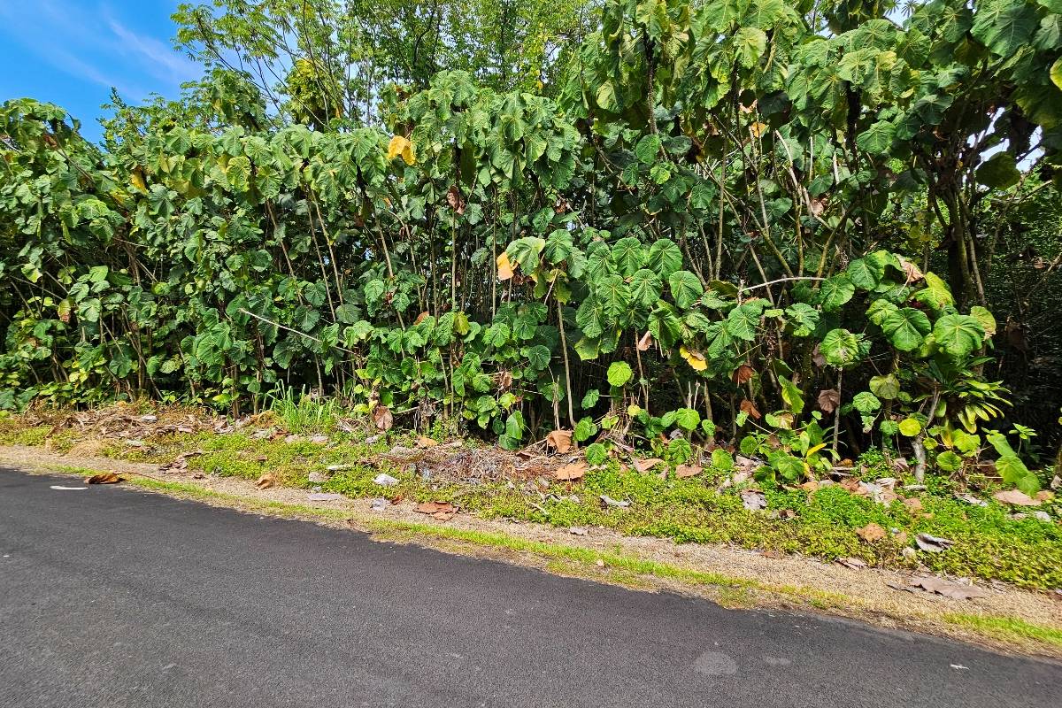 Pahoa, HI 96778,PAPAI ST