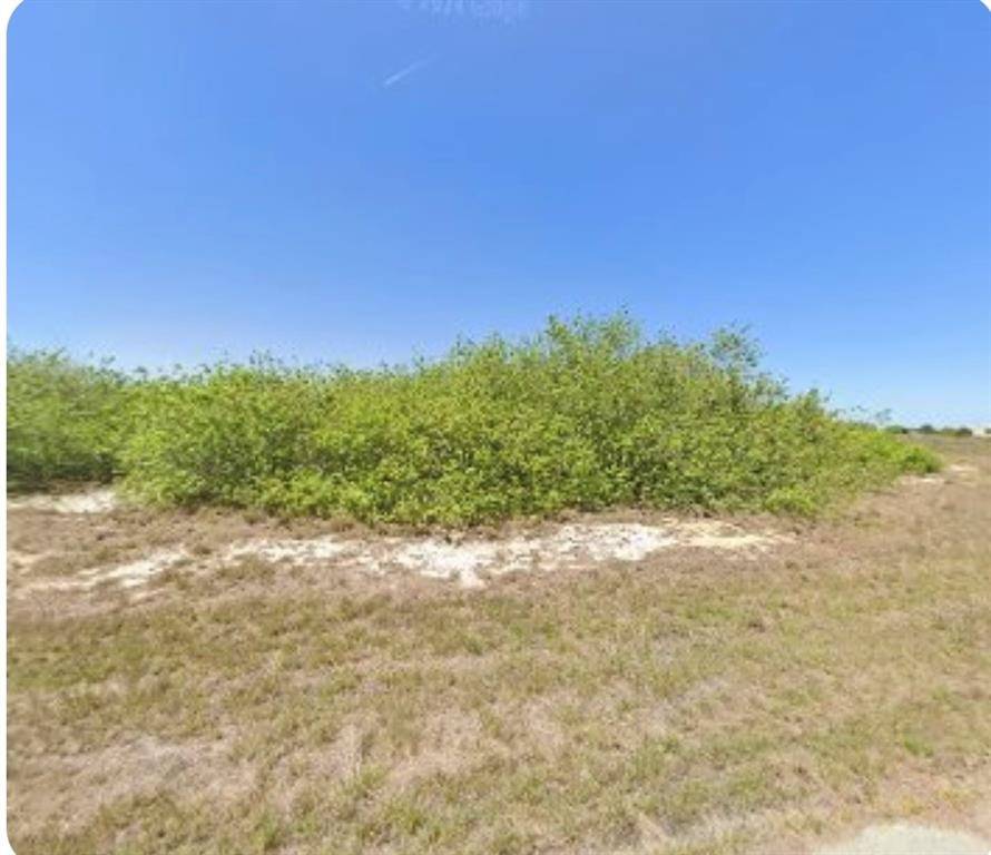 Labelle, FL 33935,993 Quinton Dr