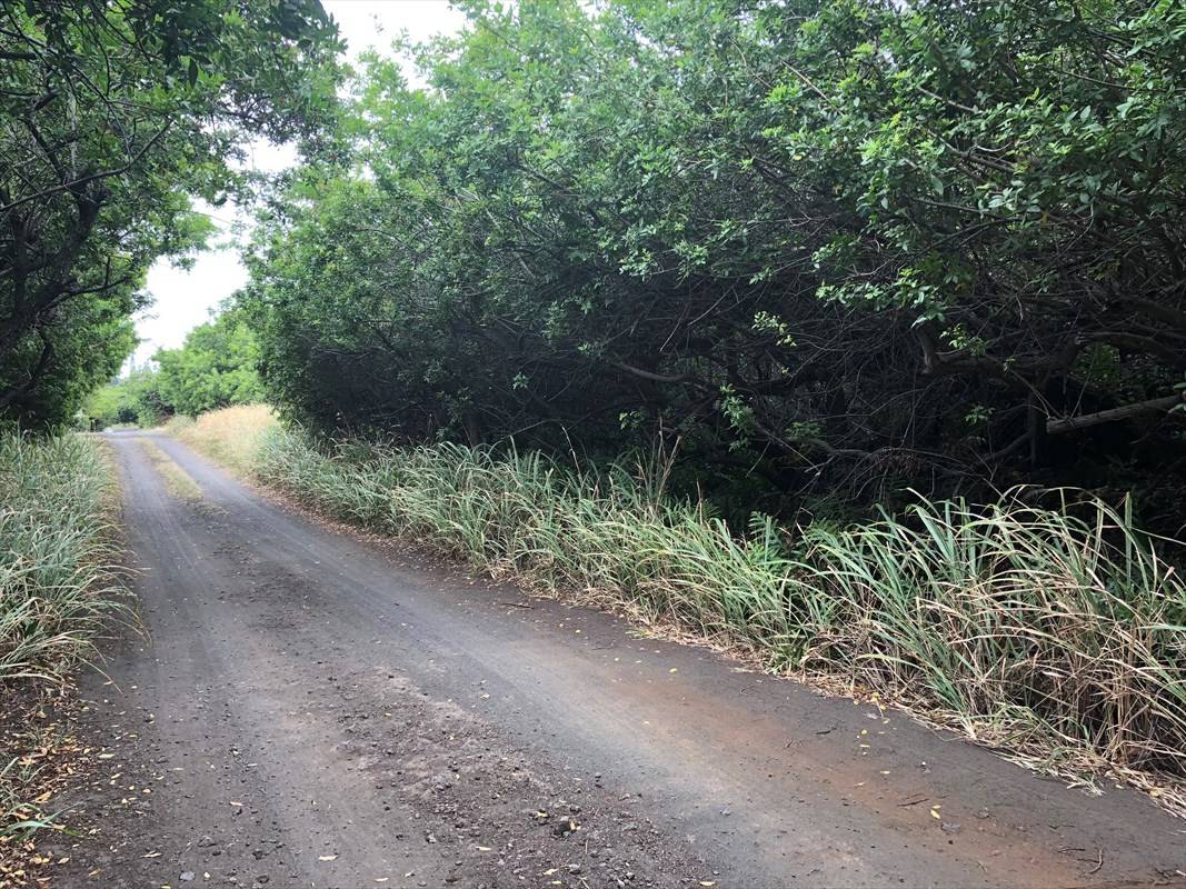 Naalehu, HI 96772,51 PALAOA RD