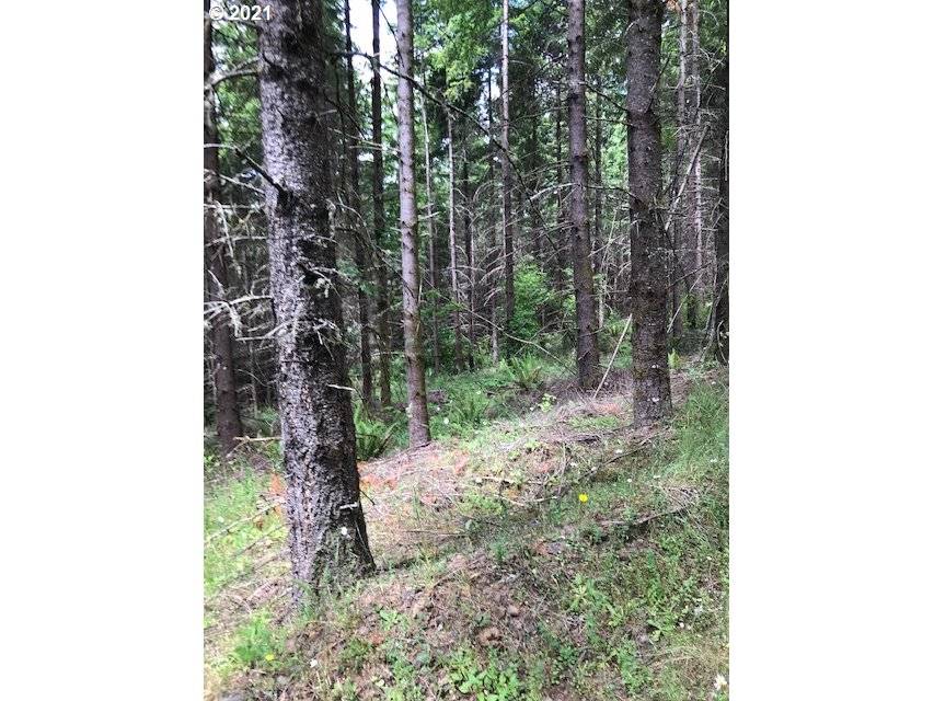 Warren, OR 97053,00 Cater (East) RD