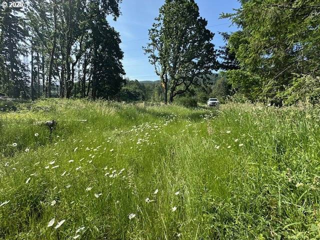 Lyons, OR 97358,S Cedar Mill RD