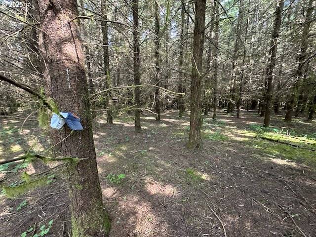 Lyons, OR 97358,S Cedar Mill RD