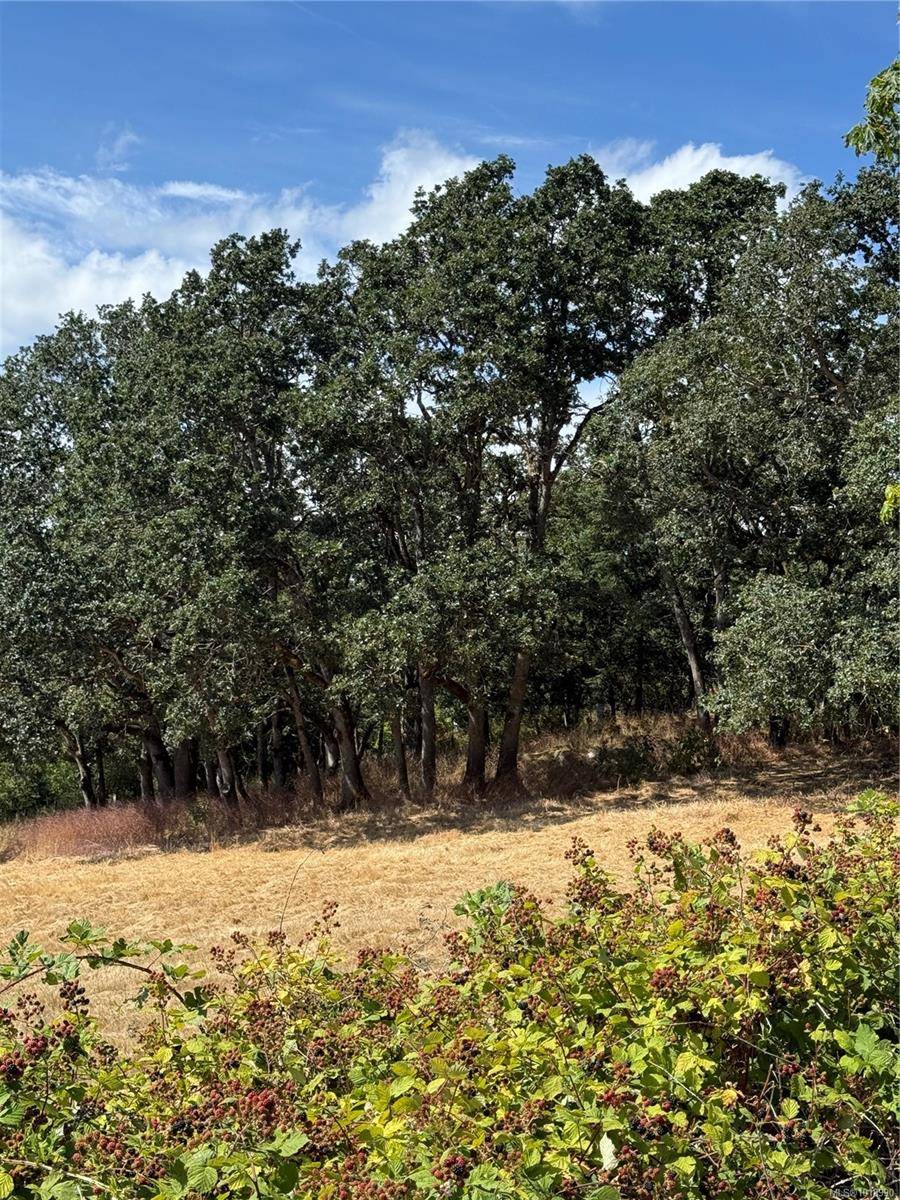 Saanich, BC V8Z 5K1,3876 Holland Ave