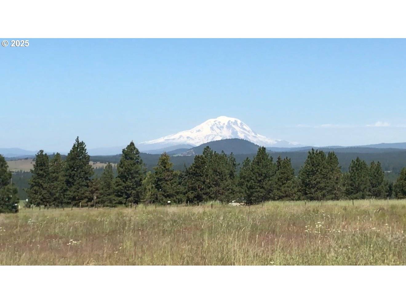 Goldendale, WA 98620,VOGT Lot 3 WAY #Lot 3