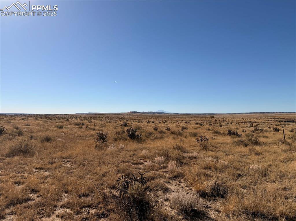 Lot 316 Longhorn Ranch, Model, CO 81059