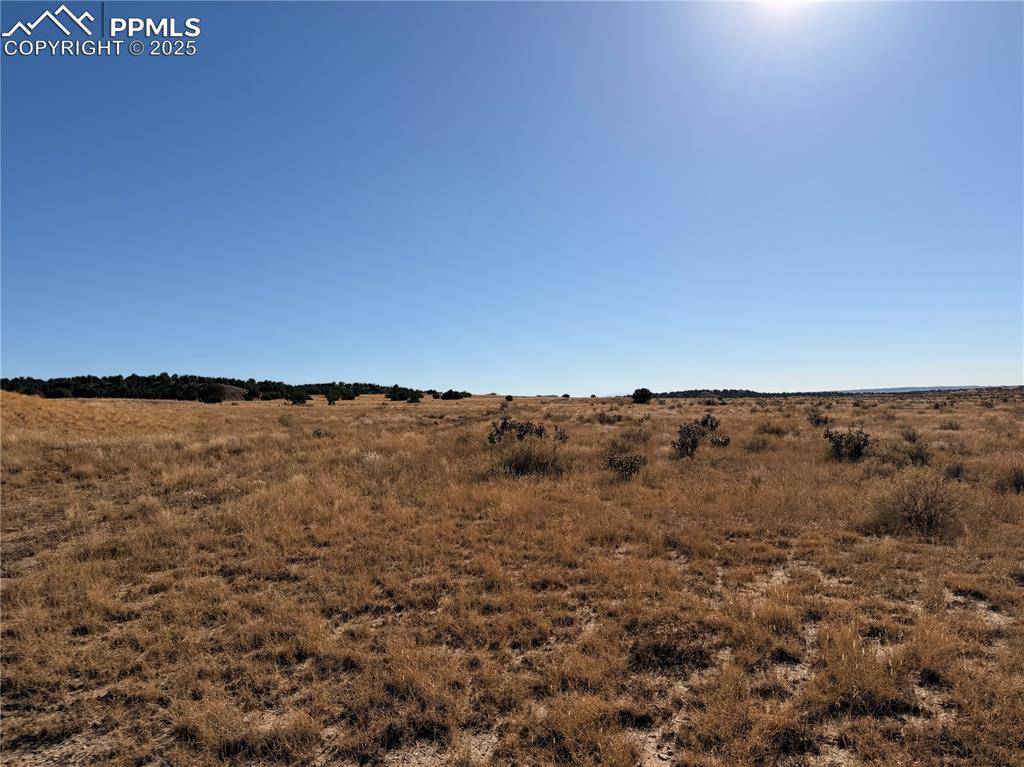 Lot 316 Longhorn Ranch, Model, CO 81059