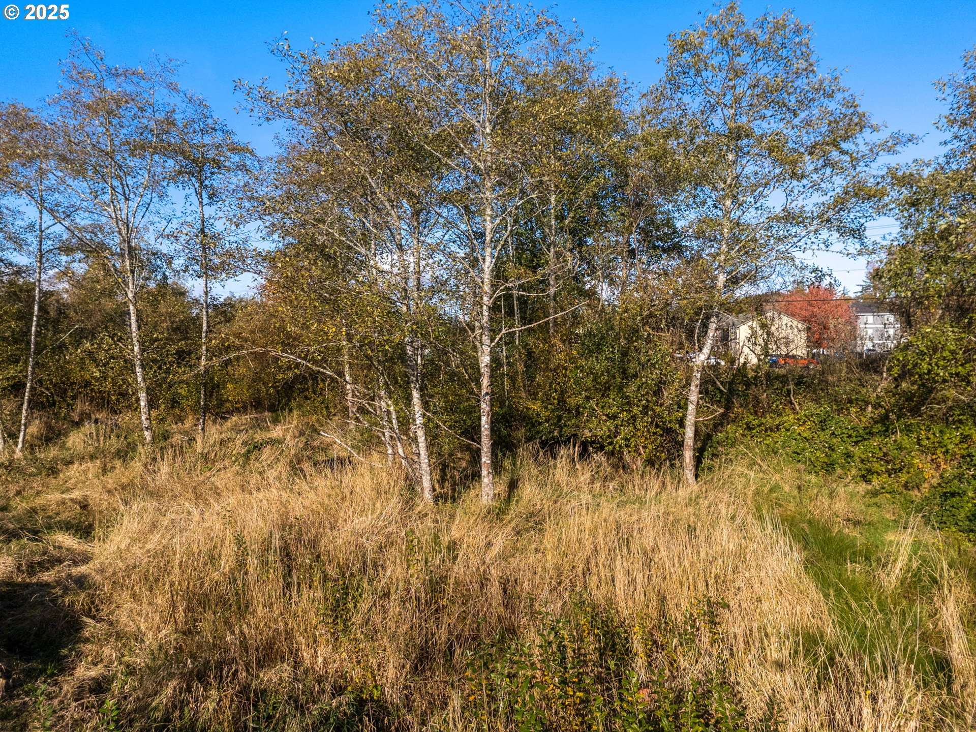 Warrenton, OR 97146,SW Main(Adj 59 SW Main) CT