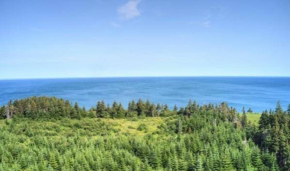 Port Au Port East, NL A0N 1T0,3 Philpotts Lane