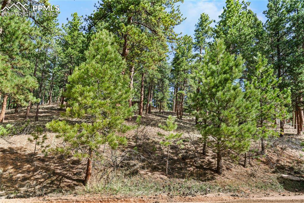 Woodland Park, CO 80863,156 E Ridge DR