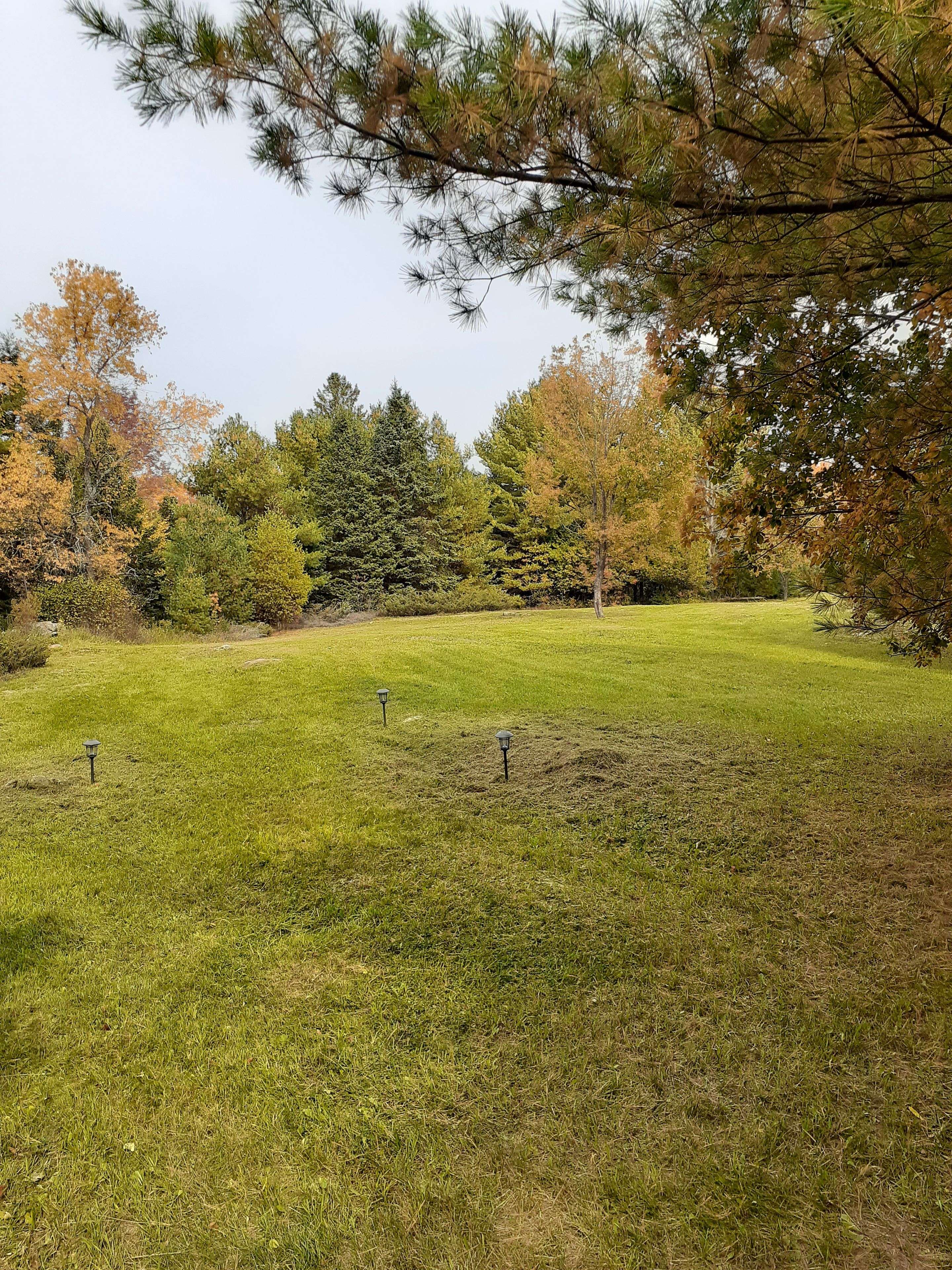 North Kawartha, ON K0L 1A0,1614 County Road 504 N/A