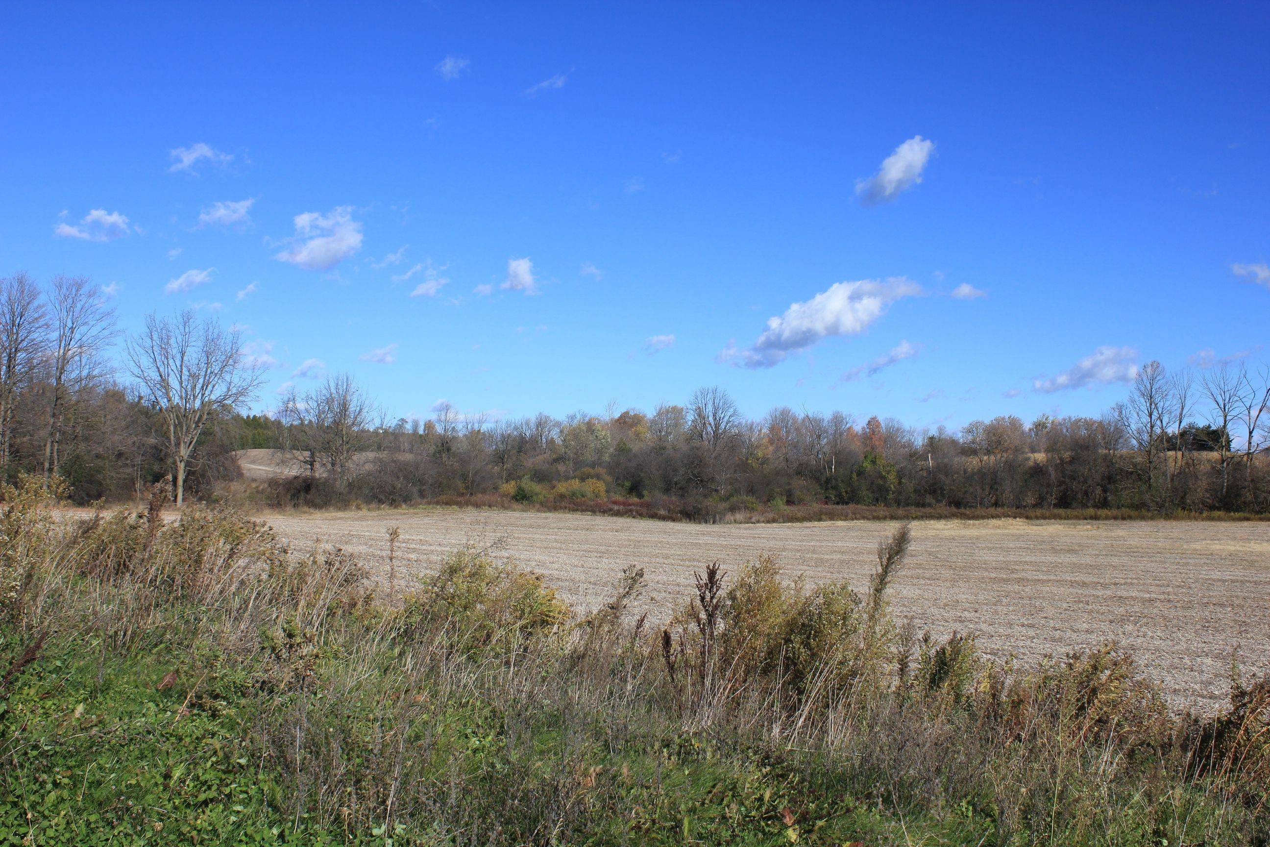 4507 Concession 7 RD, Puslinch, ON N1H 6H9