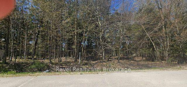 Tiny, ON L9M 0M7,Lt 16 Remi RD