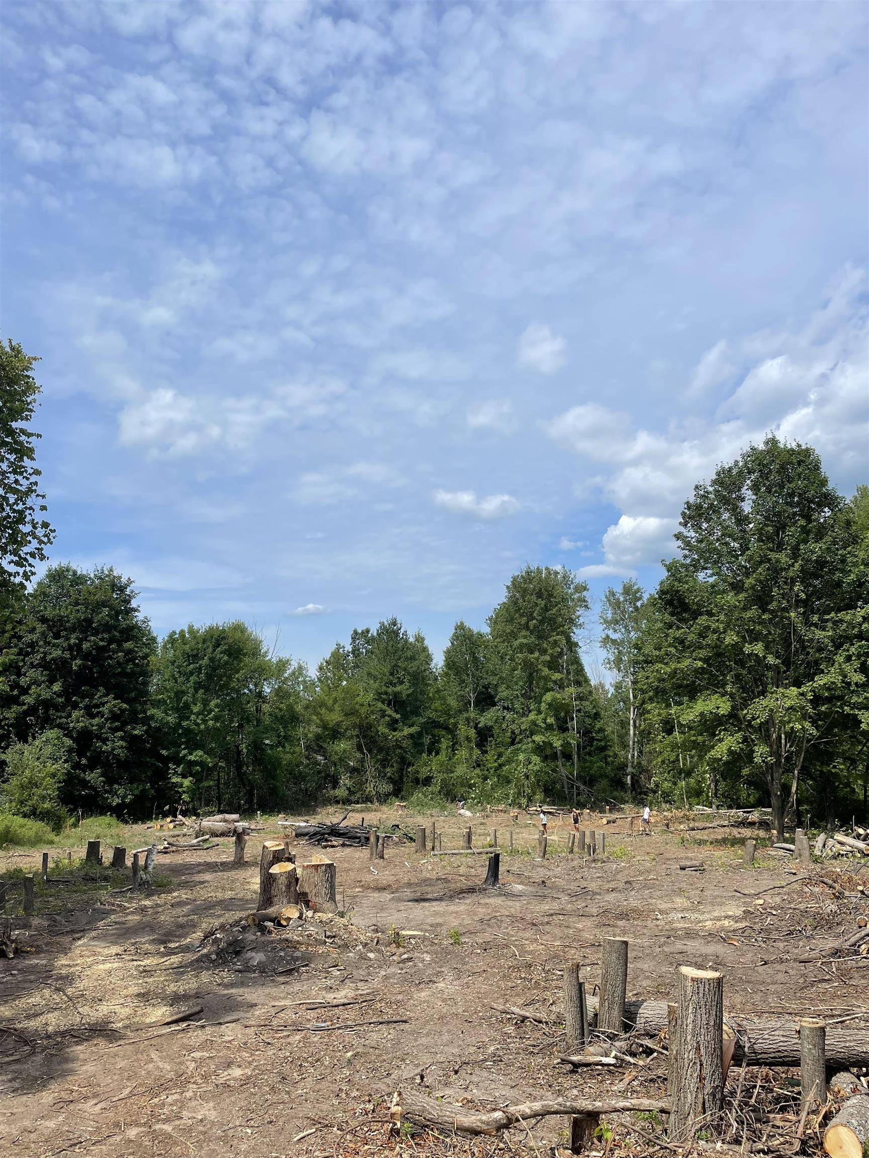 Rapid City, MI 49676,11668 Brettonwood