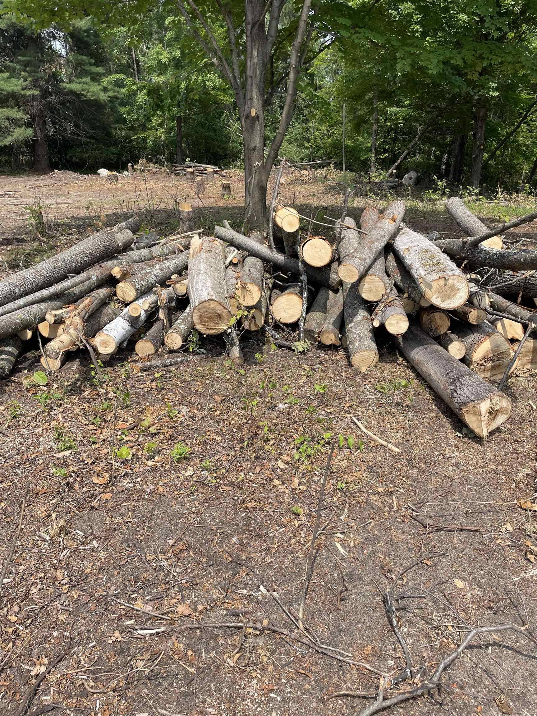 Rapid City, MI 49676,11668 Brettonwood