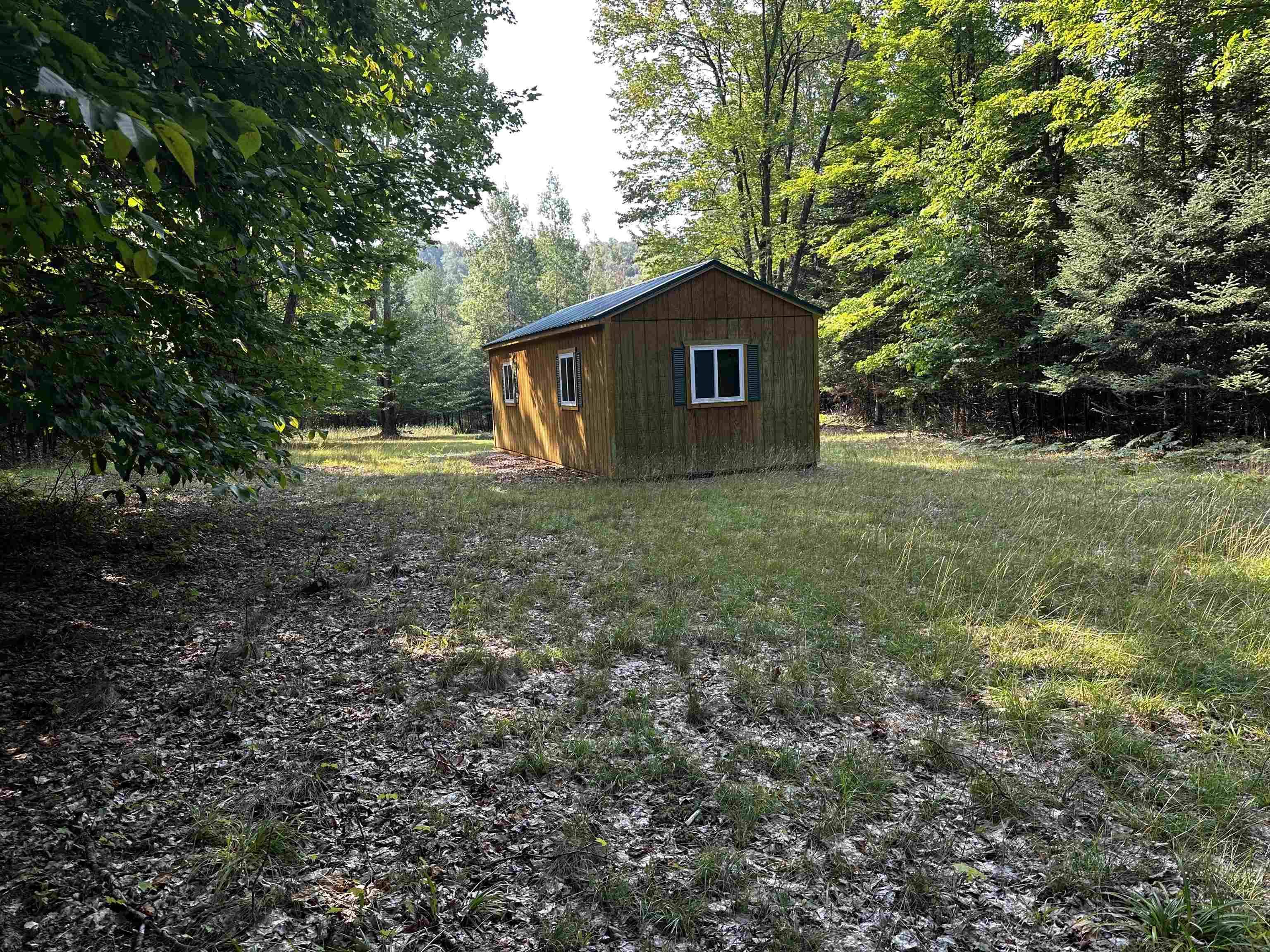 Rapid City, MI 49676,5268 Snowshoe