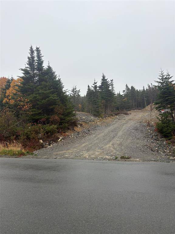 Witless Bay, NL A0A 4K0,95-97 Deans Road