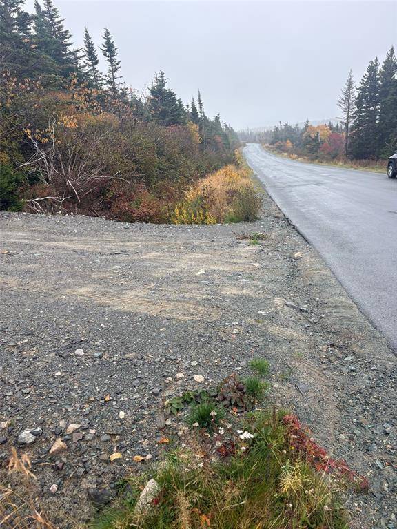 Witless Bay, NL A0A 4K0,95-97 Deans Road