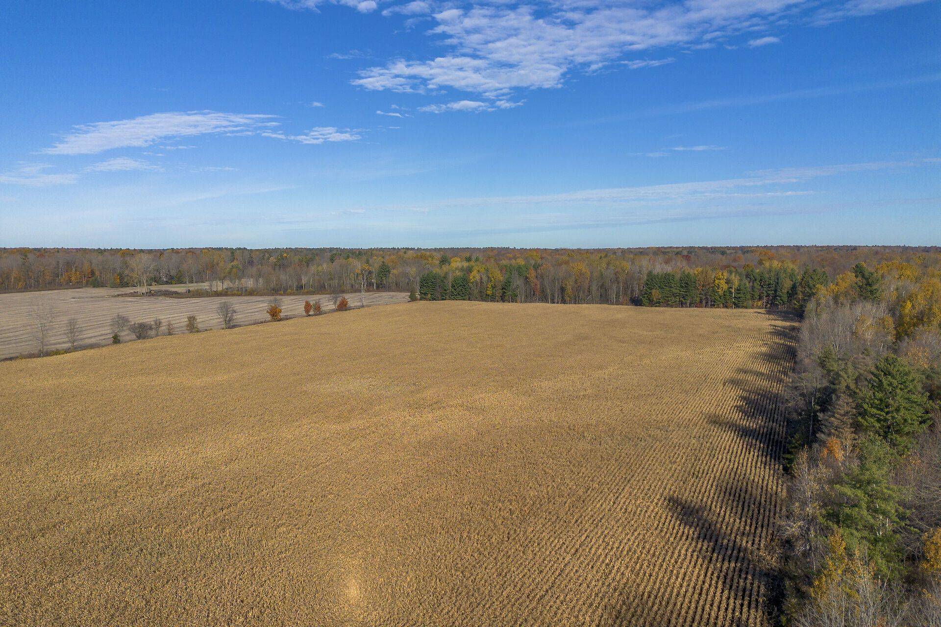 Norfolk, ON N4G 4G9,PT LT 140&141 Col Talbot RD