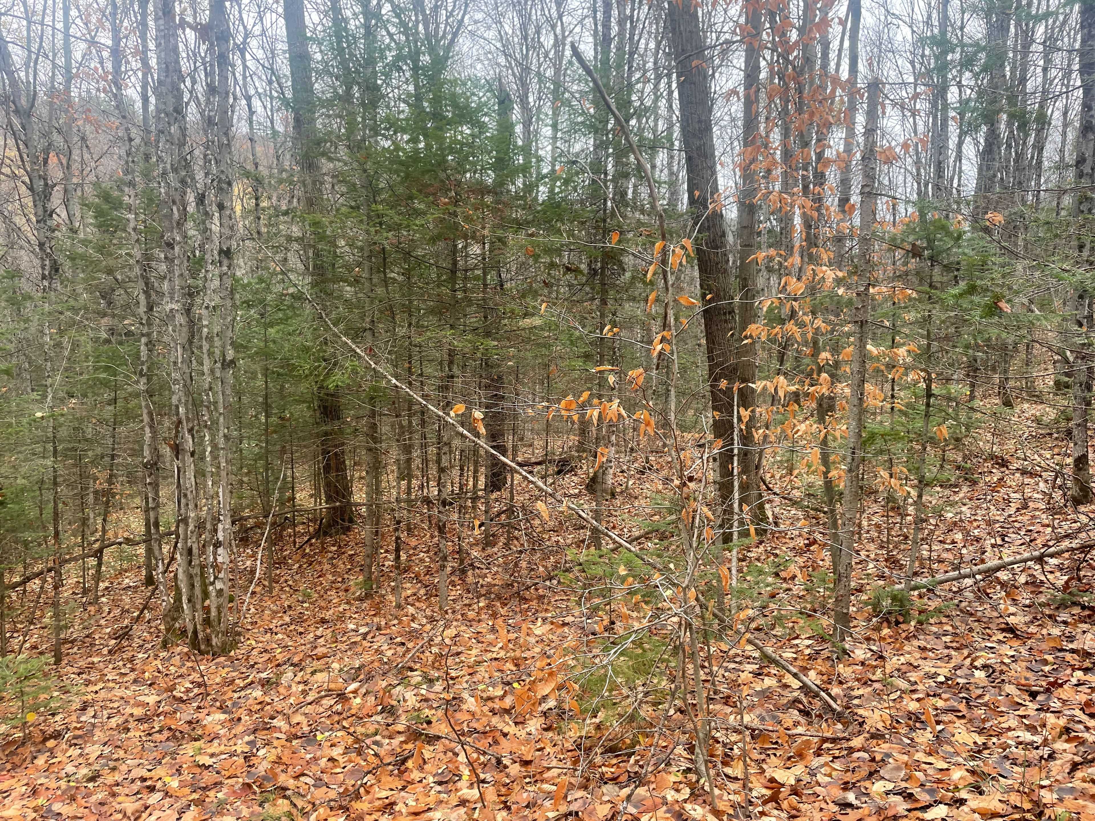 Bancroft, ON K0L 1C0,0 Snow RD