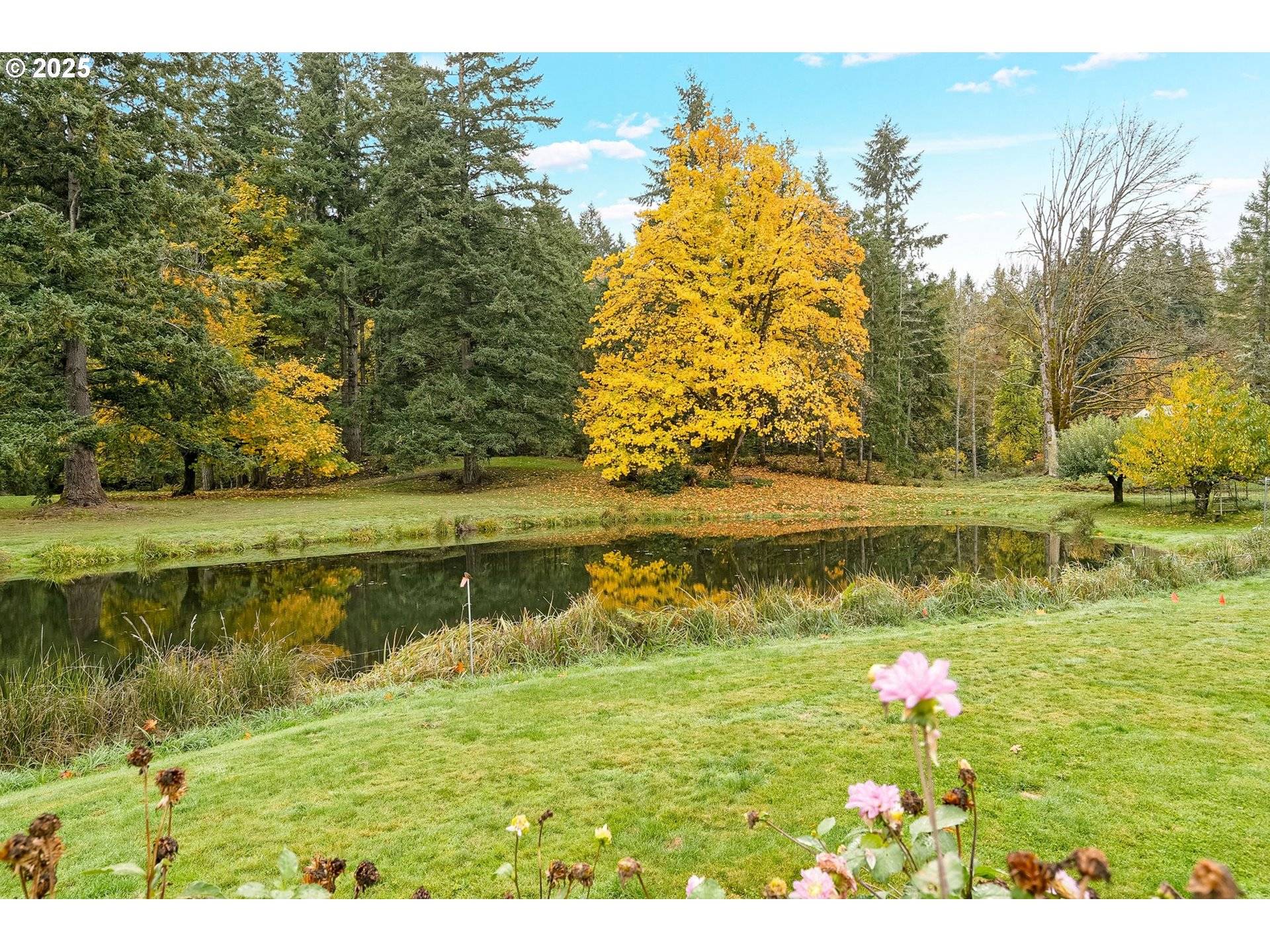 Scotts Mills, OR 97375,4300 BRIAR KNOB LOOP NE