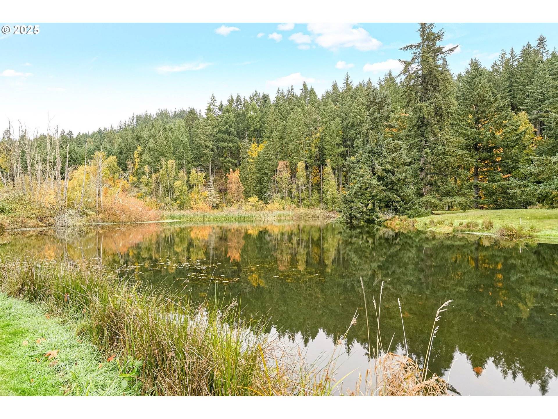 Scotts Mills, OR 97375,4300 BRIAR KNOB LOOP NE