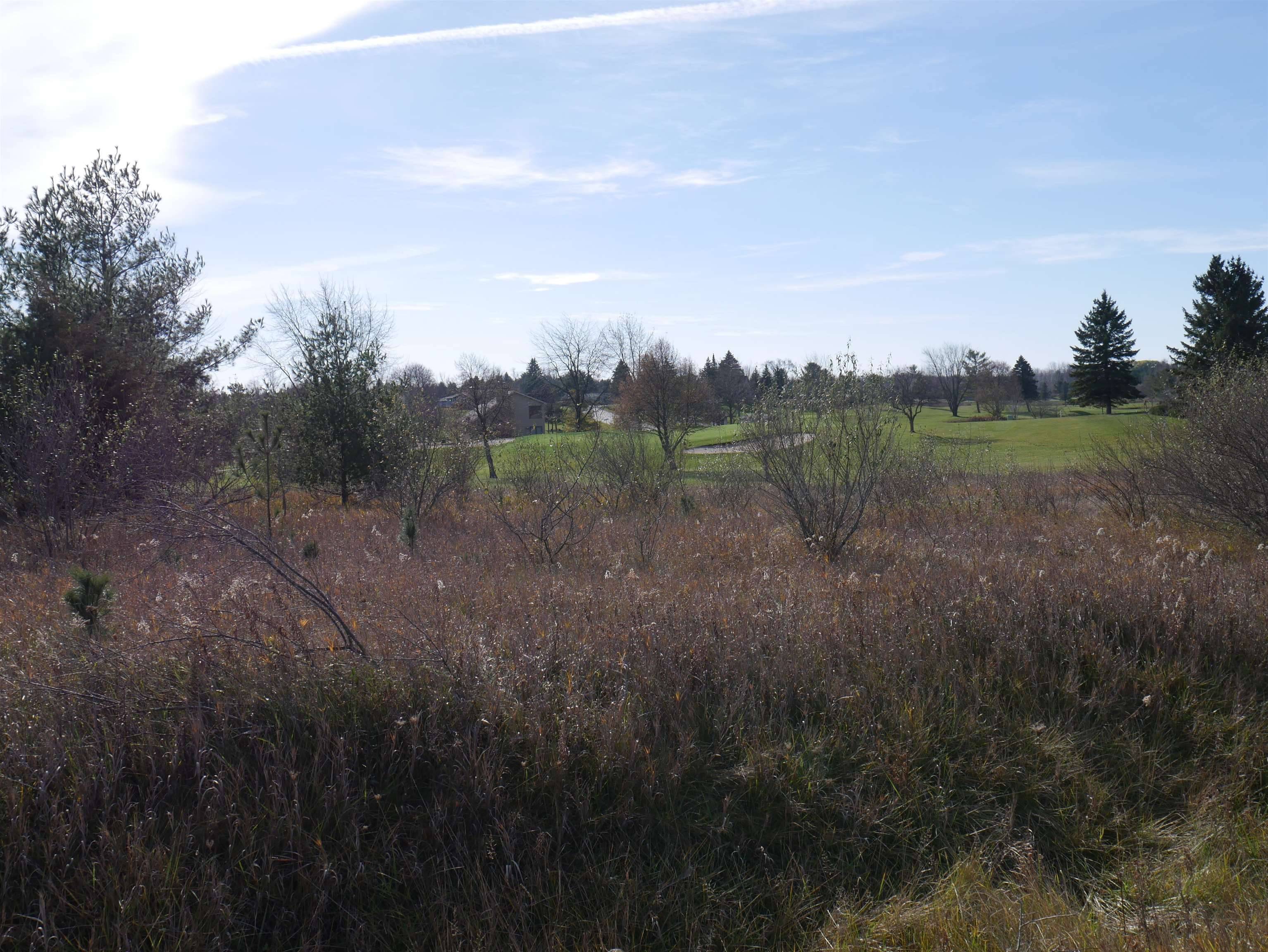 Gladwin, MI 48624,00 Track Iron TRL