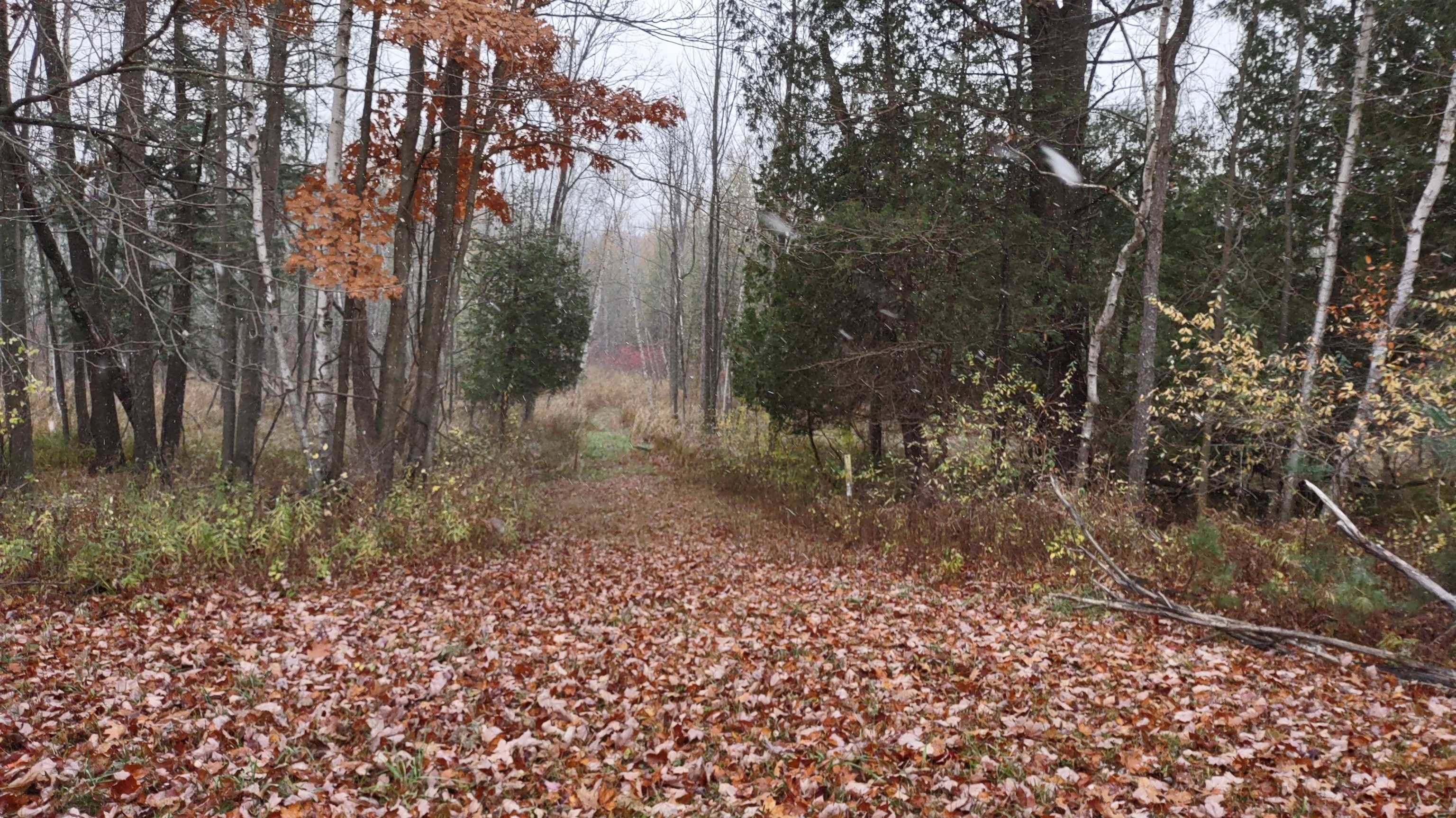 Remus, MI 49340,2395 11 Mile