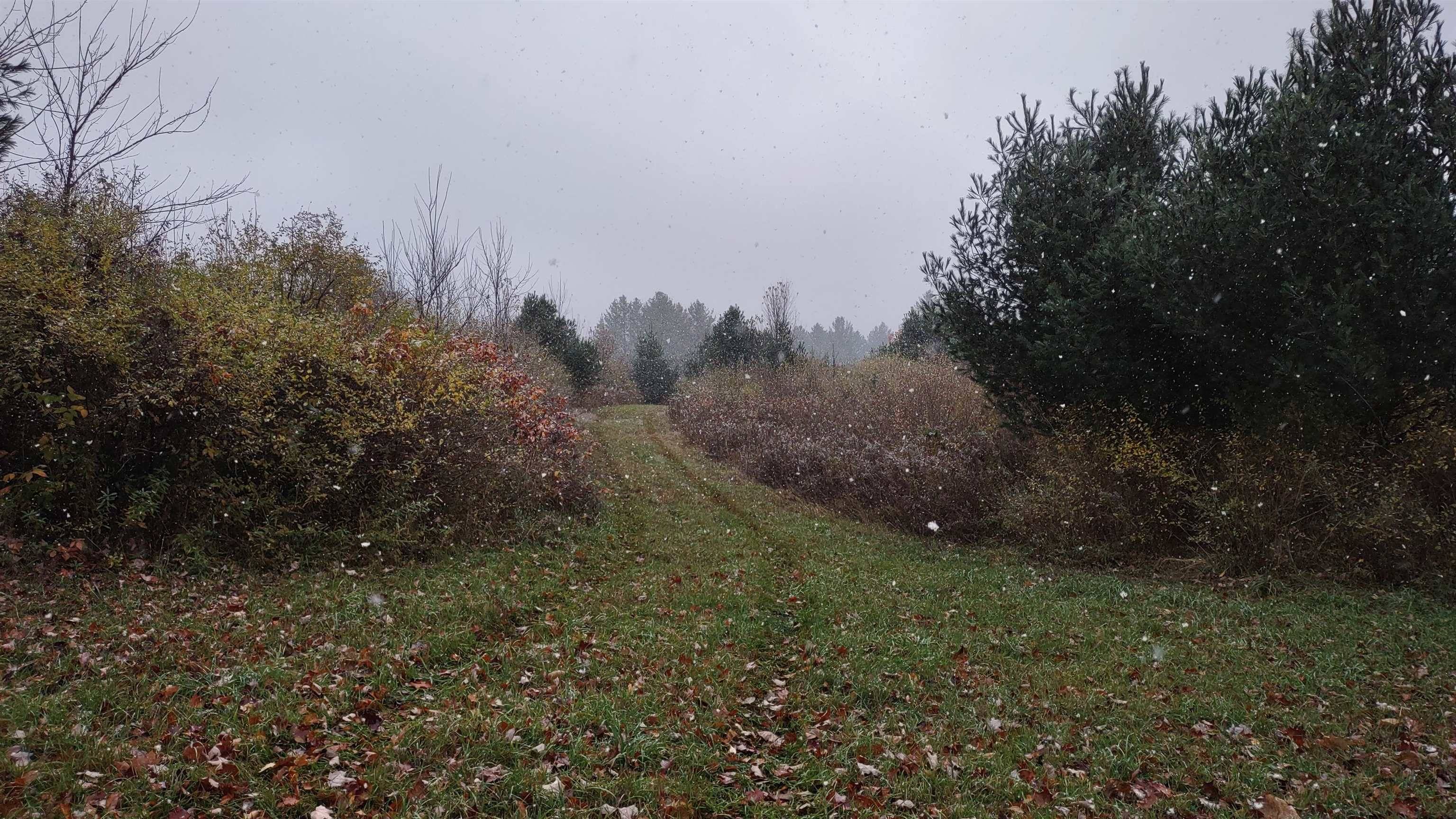 Remus, MI 49340,2395 11 Mile