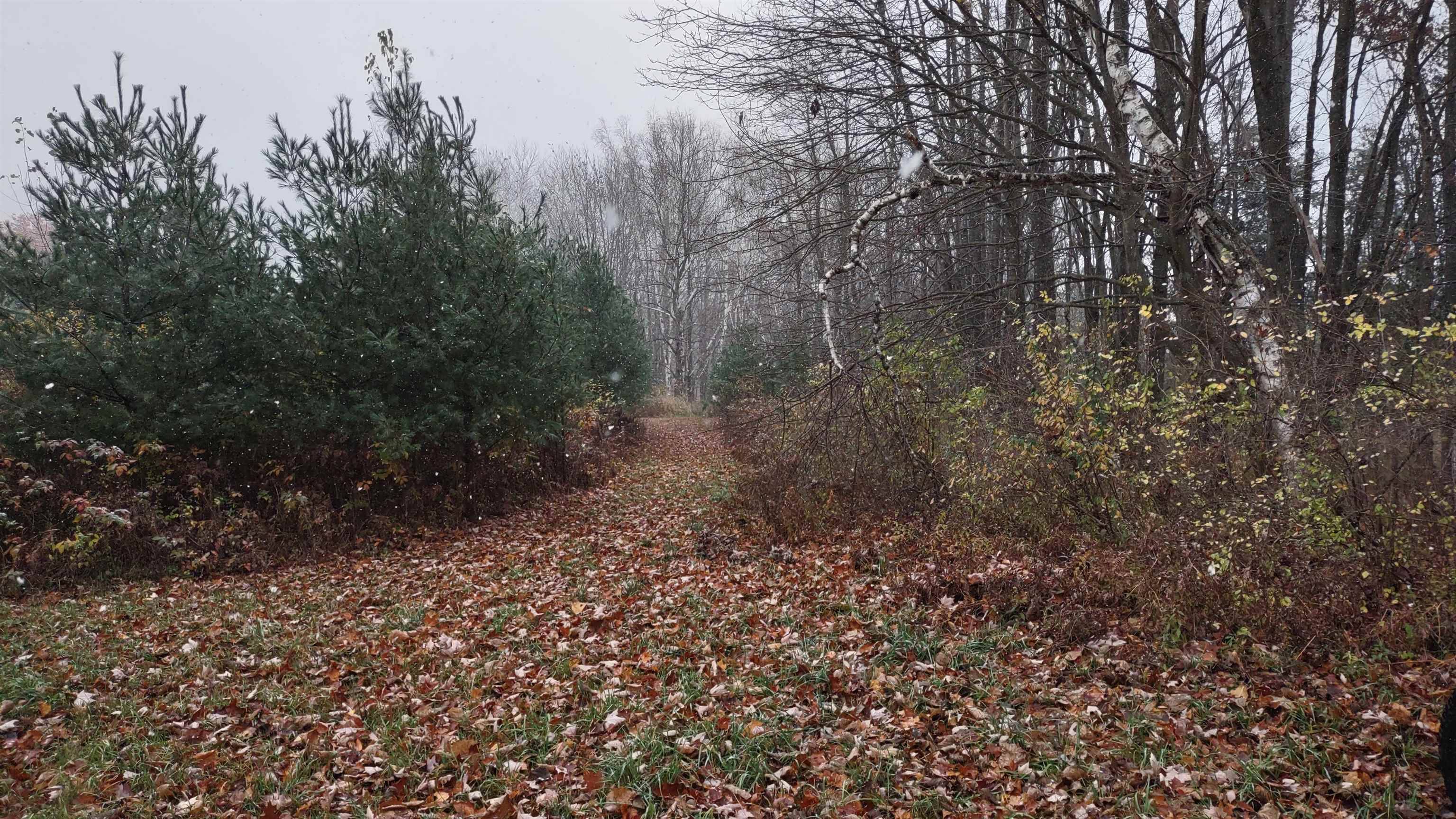 Remus, MI 49340,2395 11 Mile