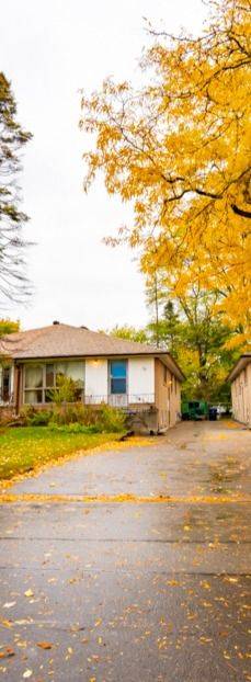 Toronto C13, ON M3A 2Y7,76 Pintail CRES