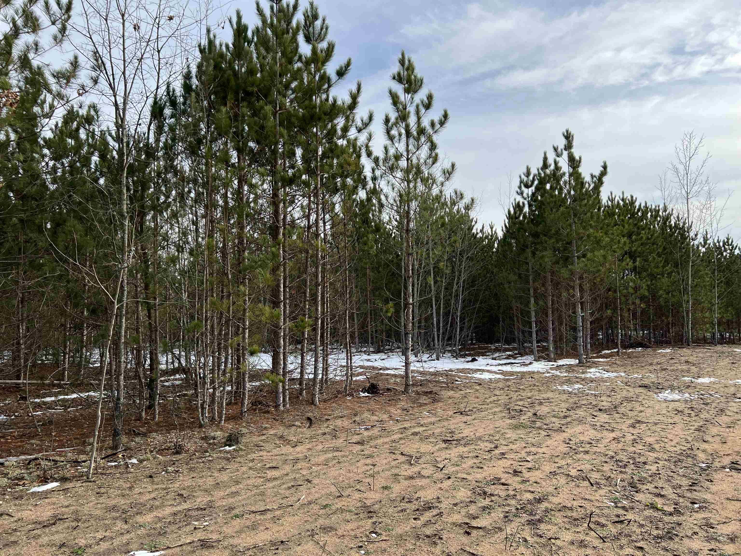 Rapid City, MI 49676,8058 NW Springwater