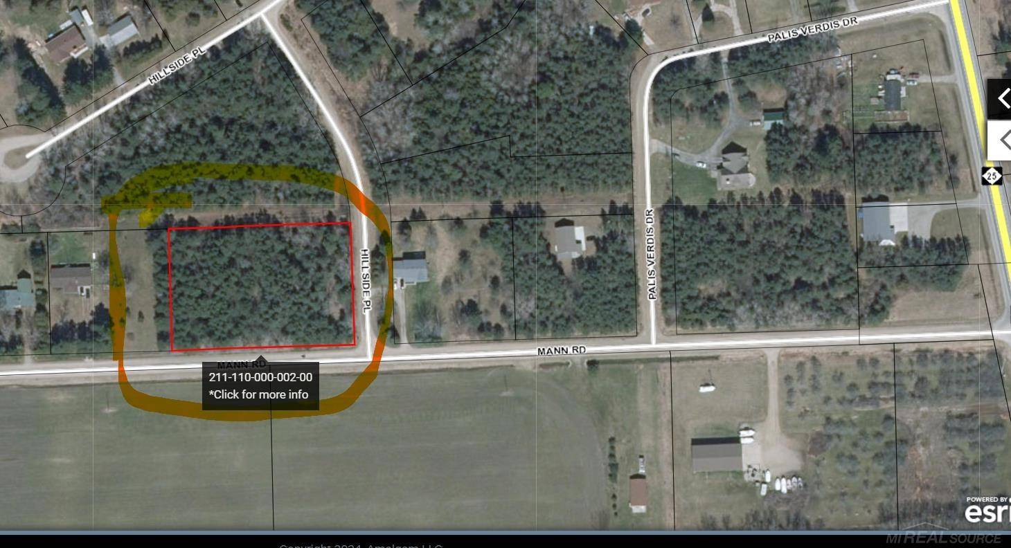 Port Sanilac, MI 48469,Mann RD