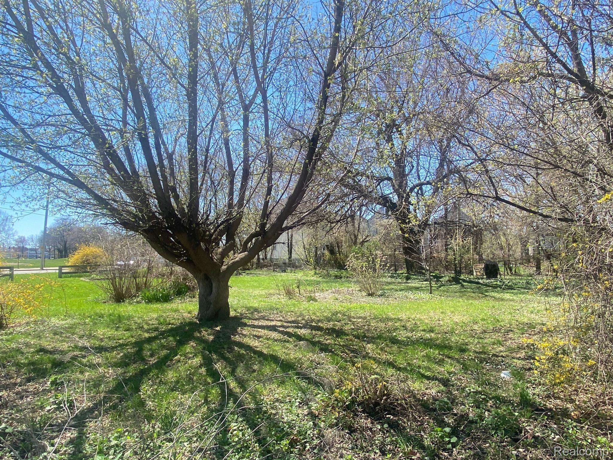 Detroit, MI 48214,2409 SEYBURN ST