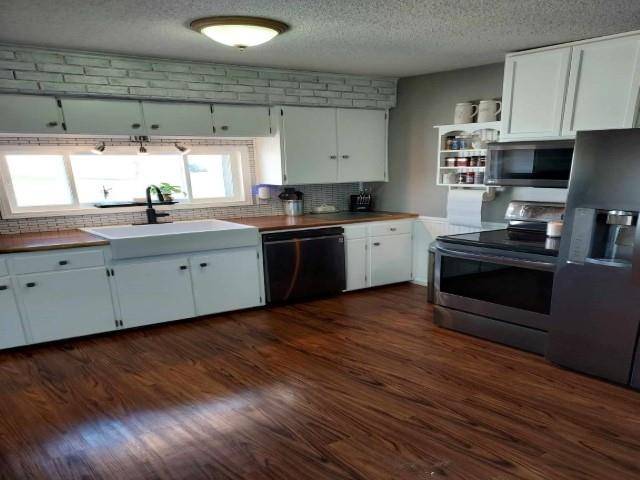 Saint Louis, MI 48880,10119 N Begole