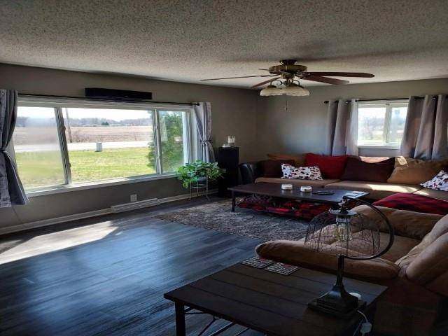 Saint Louis, MI 48880,10119 N Begole