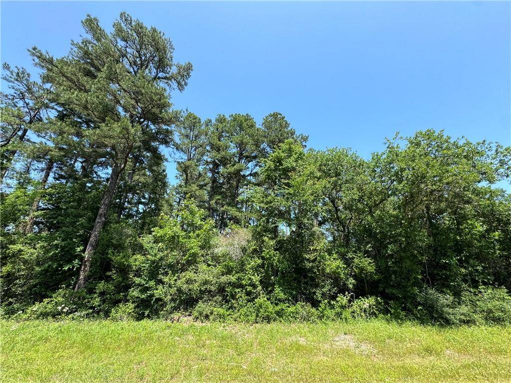 TBD FM 1511, Centerville, TX 75833